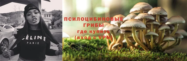 дурь Инта