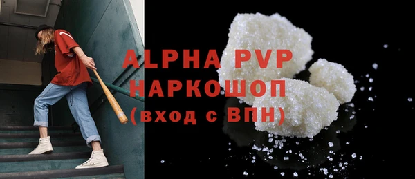 дурь Инта