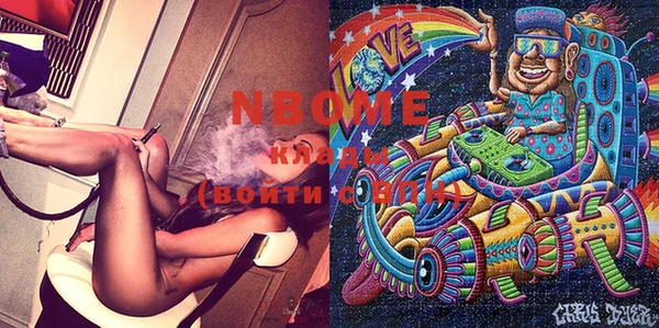 дурь Инта