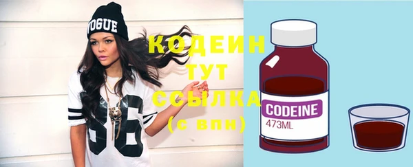 дурь Инта