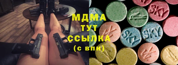 дурь Инта