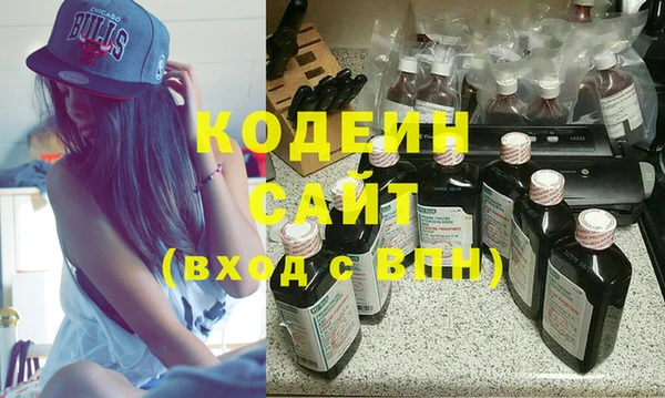 дурь Инта