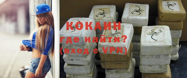 дурь Инта