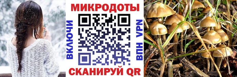 Галлюциногенные грибы ЛСД  Купить  Баймак 