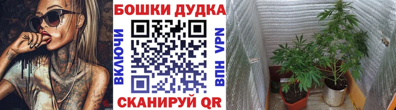 Купить где  Баймак  МАРИХУАНА ГИДРОПОН 